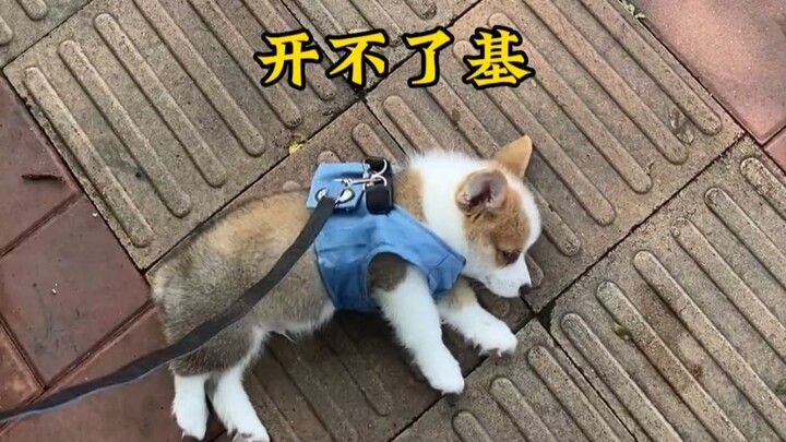 Sometimes I slack off, and often it’s just sometimes.