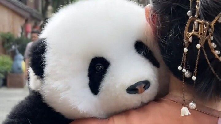 一只果赖现，千军万马来相见！我果赖公主又出门炸街啦！