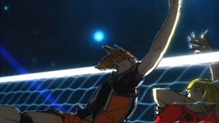 Karasuno vs Nekoma!