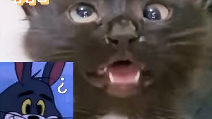 【V Jiaen】The latest video is now available—come check it out!