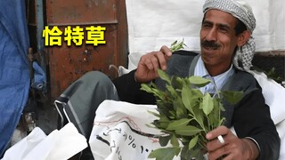 Yemen is the first country to be destroyed by drugs, even children are not spared. How tragic is it?