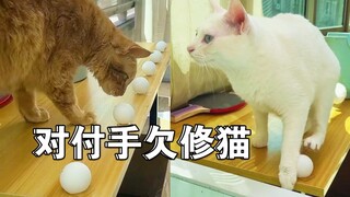 Tu Miêu: Tôi cầm được bóng là đánh nhau loạn xạ luôn