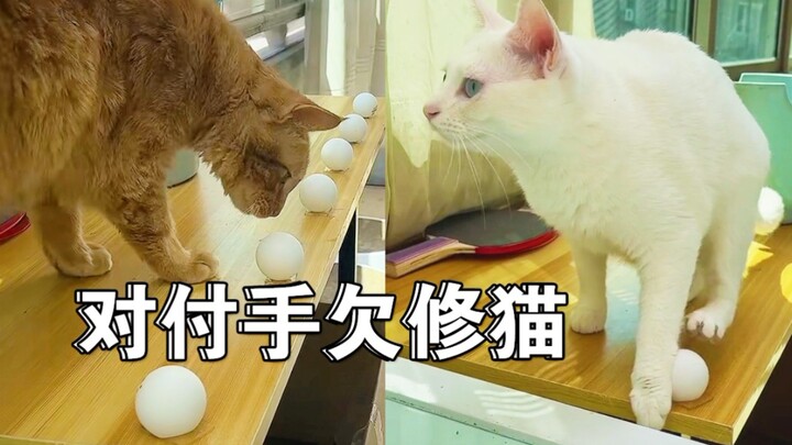 شيو ماو: عندما أحصل على الكرة، أصبح قاتلاً بلا رحمة