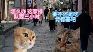 情侣猫猫旅游现状