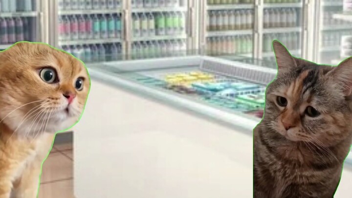 【猫meme】对中国留子的刻板印象增加了