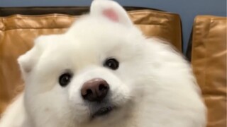 Tôi chính là mượt mà như vậy