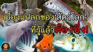 เรื่องจริงเกี่ยวกับ 'สัตว์โลก' ที่คุณอาจไม่เคยรู้...