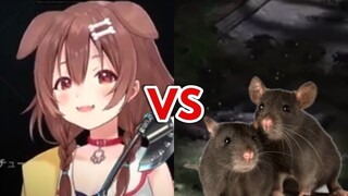 Korone or a bunch of Rats?