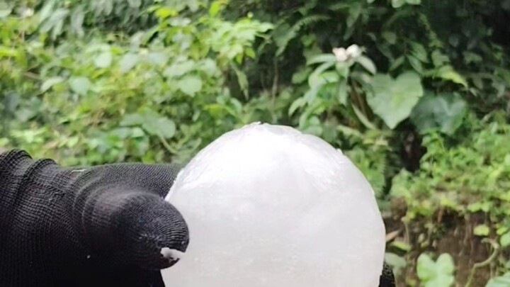 🥥 冰爽到极致的椰子！切开新鲜椰子，里面竟然像冰块一样清凉，椰子水晶莹剔透，太解压了！❄️💦