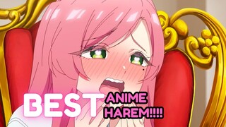 BEST ANIME HAREM!!!!