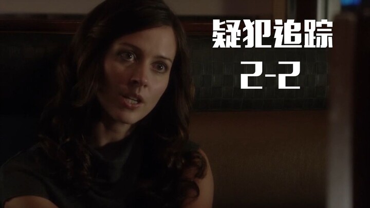 Person of Interest Season 2-2: The Bittersweet Tale of a Top Female Hacker, Unveiling the Missing-Te