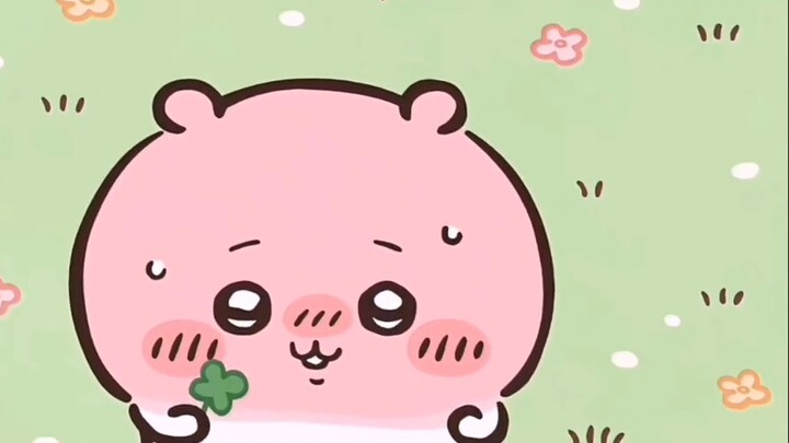 【chiikawa】Baby Ji sings loudly!