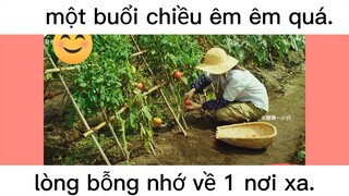 "ta dại ta tìm nơi vắng vẻ"#dailyvlog#life#chill