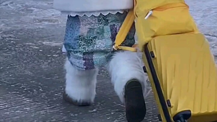 Tiba-tiba bertemu dengan seorang "kentang kecil" dari selatan yang berani menjelajahi Harbin, kaki p