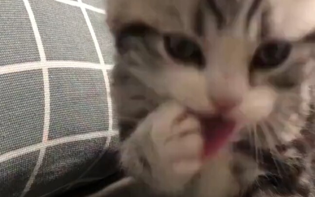 Watch closely—this is how you lick it!