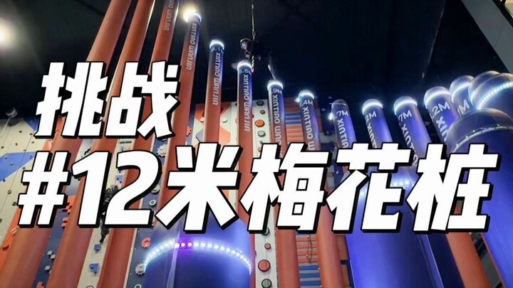 Thử thách cọc mai hoa 12 mét