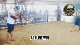 AEJ GF WIN  and MT BANAHAW WIN (BOTH NATIONAL VS BULLSTAG)