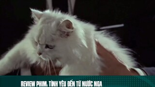 REVIEW PHIM: “ TÌNH YÊU ĐẾN TỪ NƯỚC NGA “ #reviewphimhaynhat