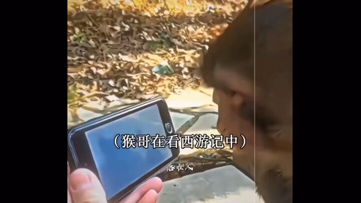 พี่วานร: นึกออกแล้วว่ารหัสบัญชีใหญ่คืออะไร!!!