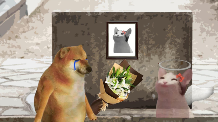 ثق دائمًا بأنكِ فتاة جميلة فريدة من نوعها في هذا العالم.