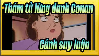 [Thám tử lừng danh Conan|Phần2]Cánh suy luận kinh điển  5