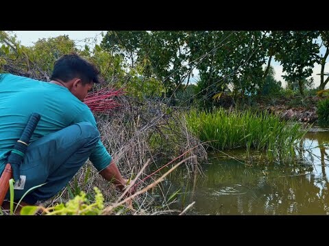 Cắm Câu Săn Cá Đêm Mùa Bão | Canh Chua Cá Đồng