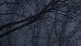 "أحب هذه الأجواء من الوحدة"