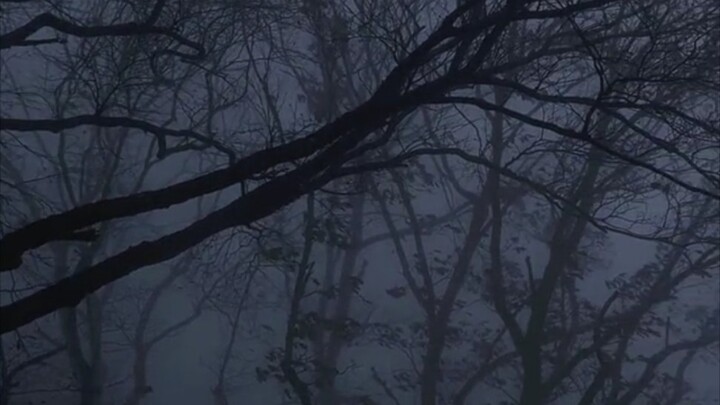 "I love this kind of lonely atmosphere."