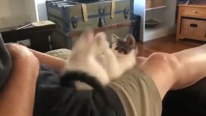 “I Found the Magic Switch!”