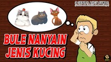 BULE NANYAIN JENIS KUCING