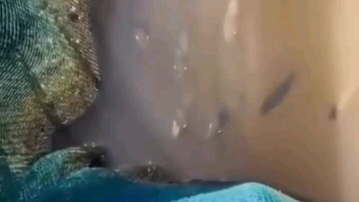 Sedang menyerang kristal musuh