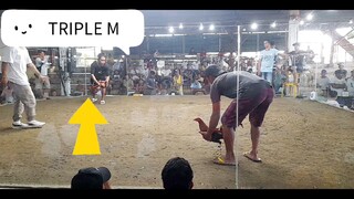 TRIPLE M  2HITS Sa meron tayo manga boss Maliit man nakaka puwing din