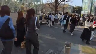 【Tokyo walk】Harajuku