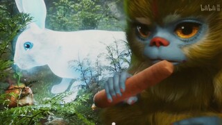 又到了韩天尊最专业的看管药园