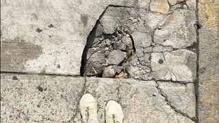 在纽约走路得小心点