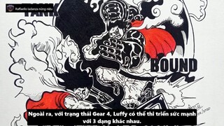 Raffaello Iadanza nũng niệu - Review - Khám Phá Trạng Thái Sức Mạnh G5 Của Luffy #anime #schooltime