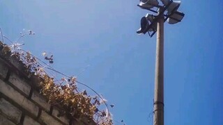 Zhengzhou reports one new confirmed case; Henan village chief is so angry he feels like cursing.