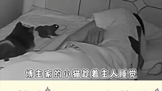 If I wake up in the middle of the night and find a toad on my bed, I'd probably freak out and jump r