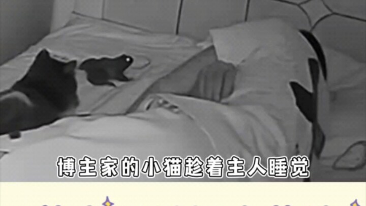 要是我半夜醒了床上有个蛤蟆我能吓飞起来