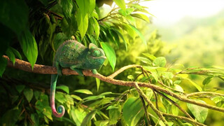 Chưa có tiêu đề ~ Phim hoạt hình ngắn vui nhộn, Hậu quả của thói háu ăn.