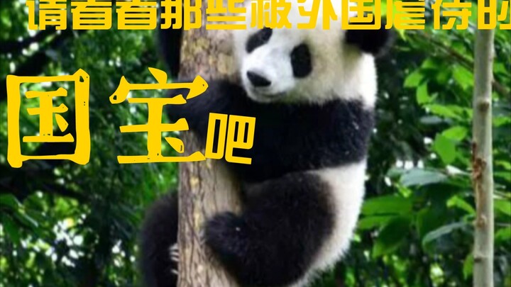 Take a look at those national treasures being abused overseas!