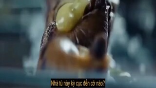 Nhà tù 333 tầng ăn chung 1 bàn tâng dưới ăn lại đồ thừa của tầng trên