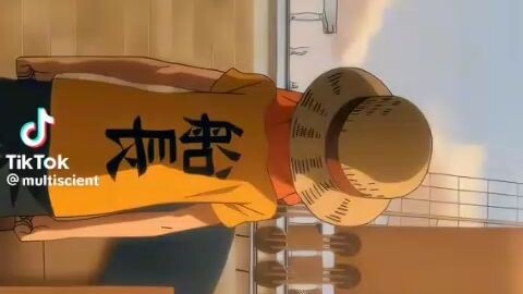 One Piece <3
