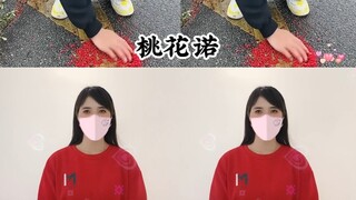 桃花诺