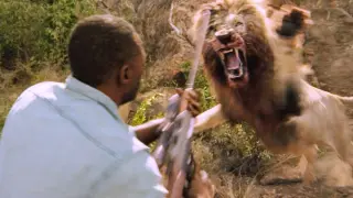 Man Fights Lion, Instantly ENJOYS It!