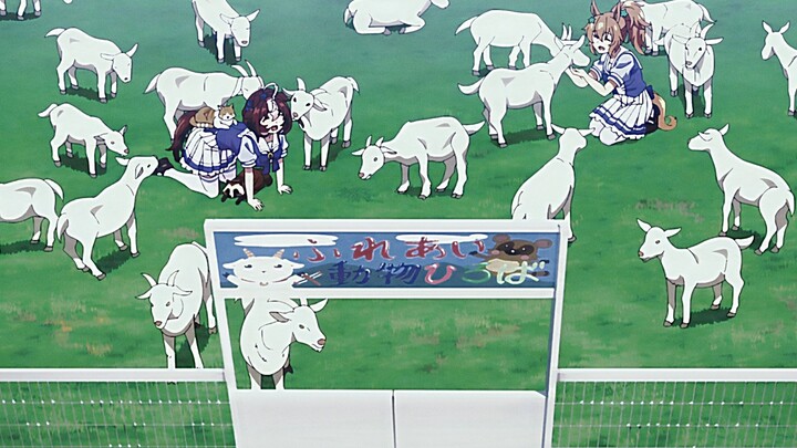 "In anime, I saw scenery that I can never see in reality..."