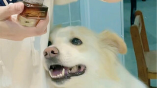 Serangan sebesar sepuluh ribu poin dari mama