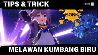TIPS MELAWAN KUMBANG BIRU UNTUK NEW PLAYERS - Starcrusher Swarm King HONKAI STAR RAIL