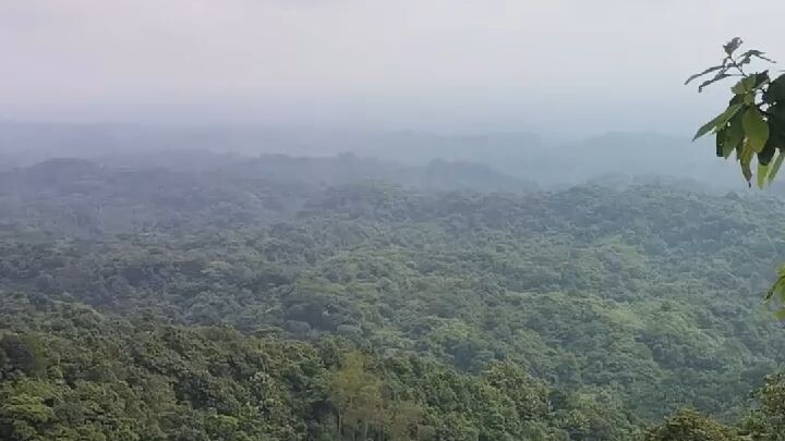 Into the wild, away from the noise.