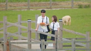 blossom with love ep5